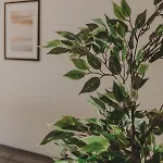 Luxury Private - Center Tatil Evi Ravenna