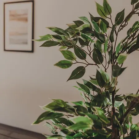 Luxury Private - Center Feriehus Ravenna