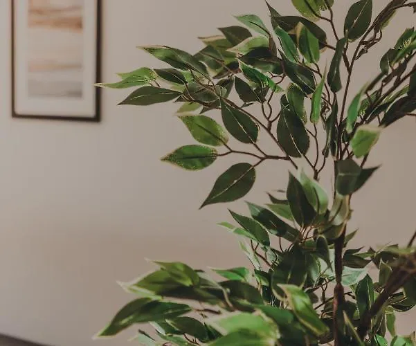 Luxury Private - Center Hébergement de vacances Ravenne